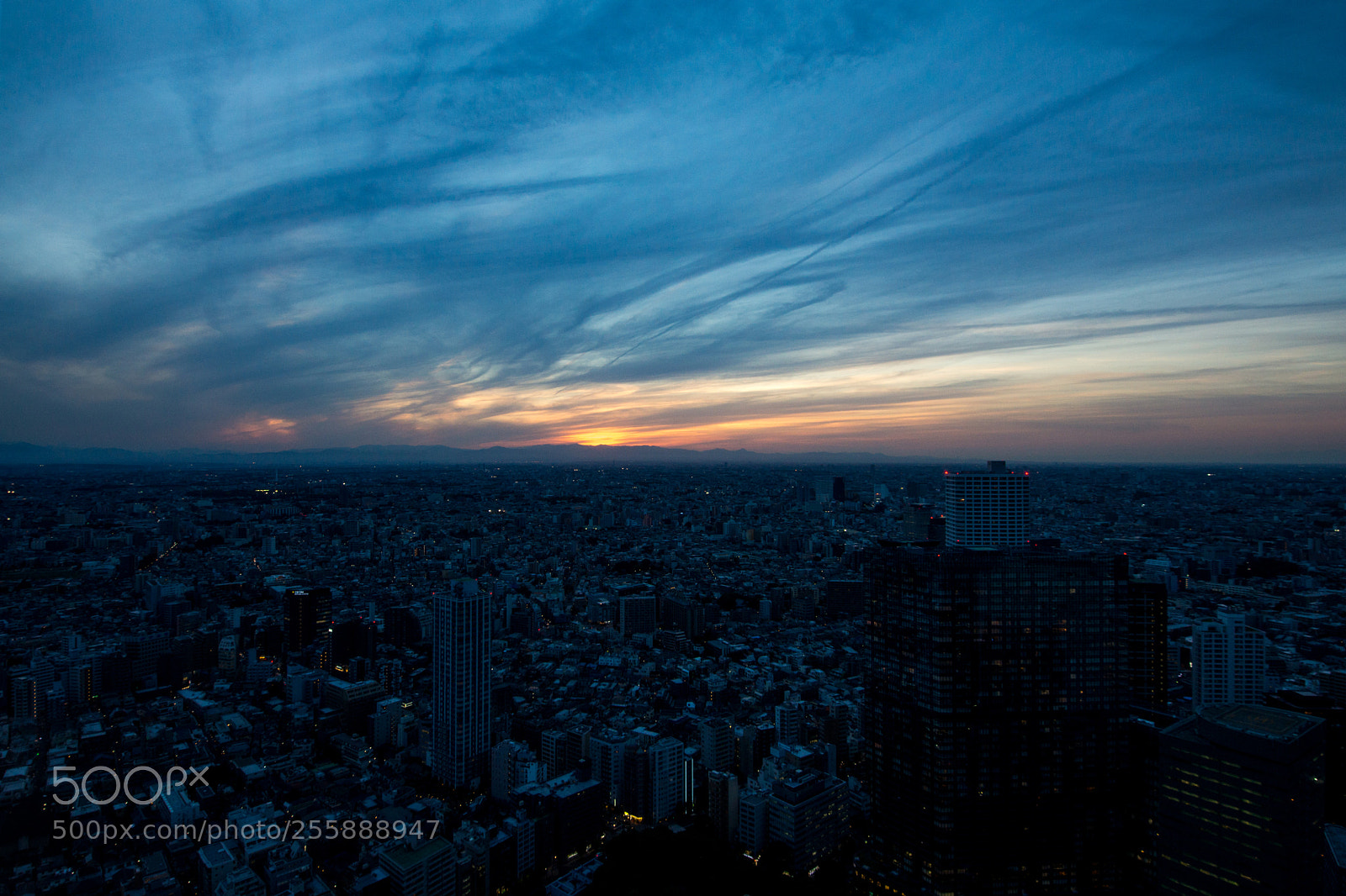 Sony SLT-A77 sample photo. Shinjuku photography