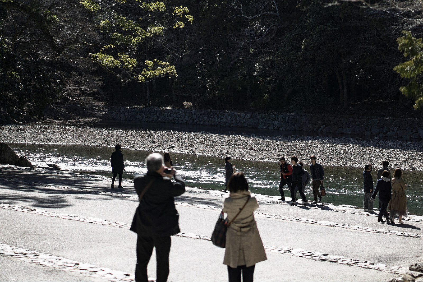 Sony a6000 sample photo. Focus→japan  photography