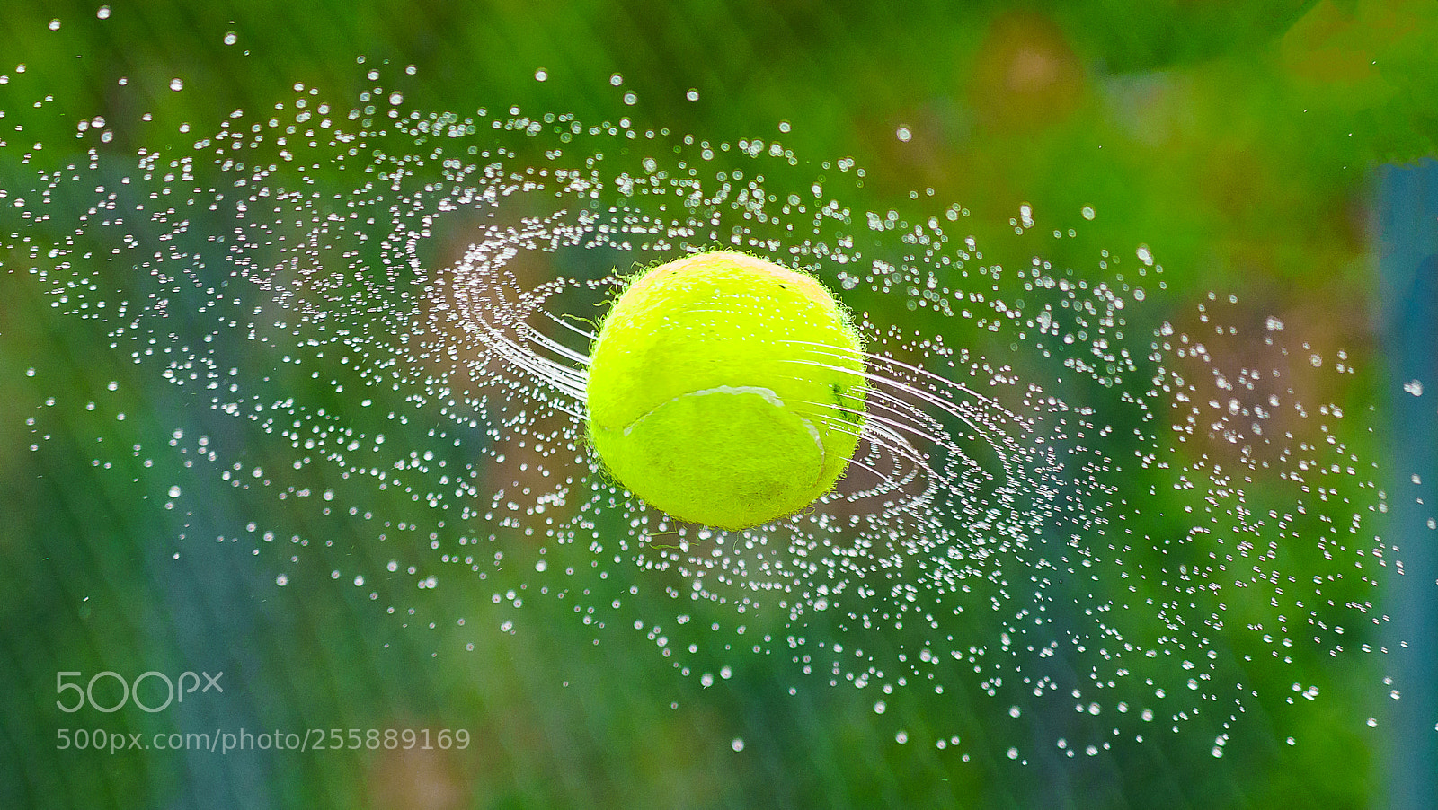 Sony a7R II sample photo. Revolving tennis ⅱ photography