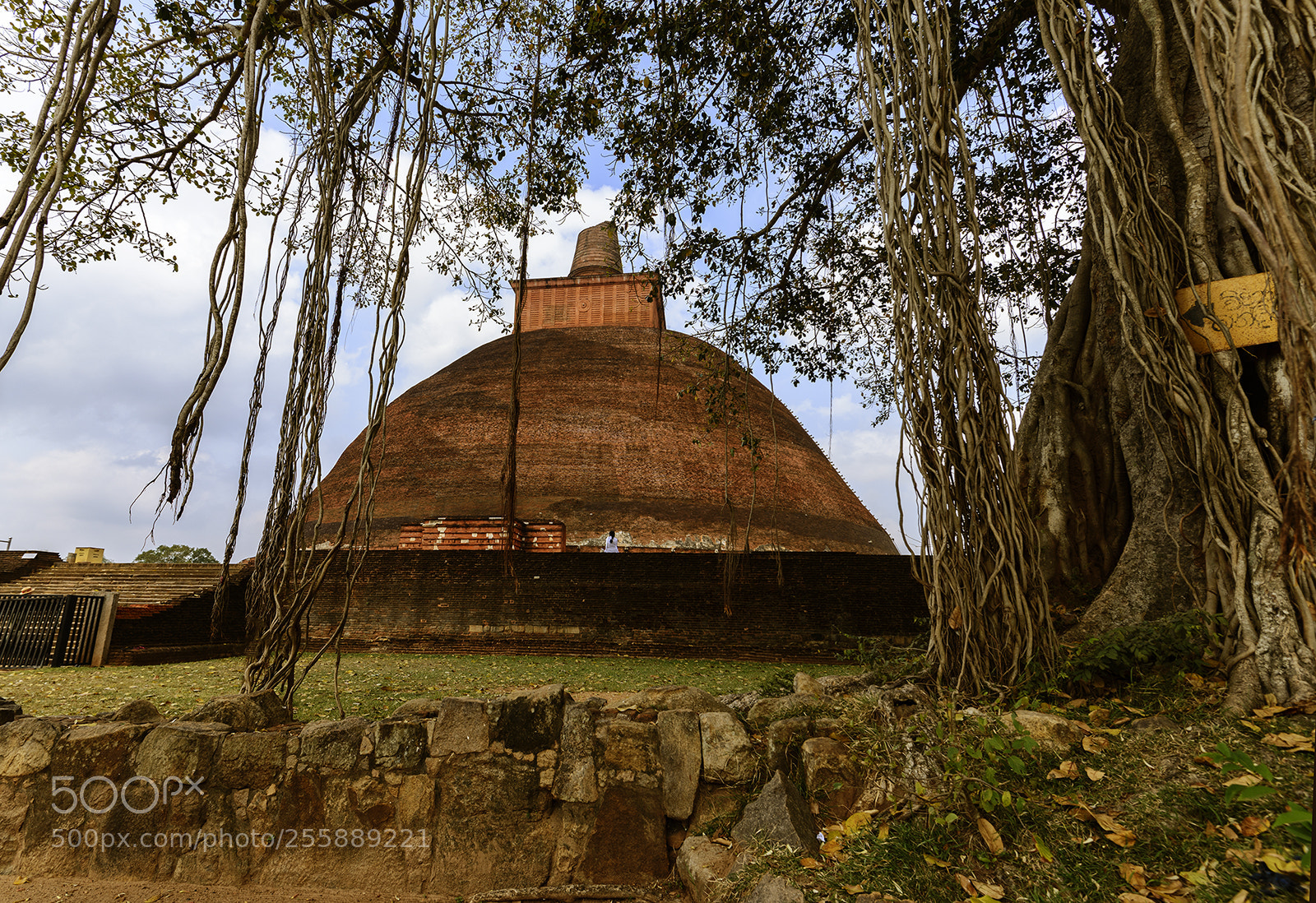 Nikon D610 sample photo. Stupa photography