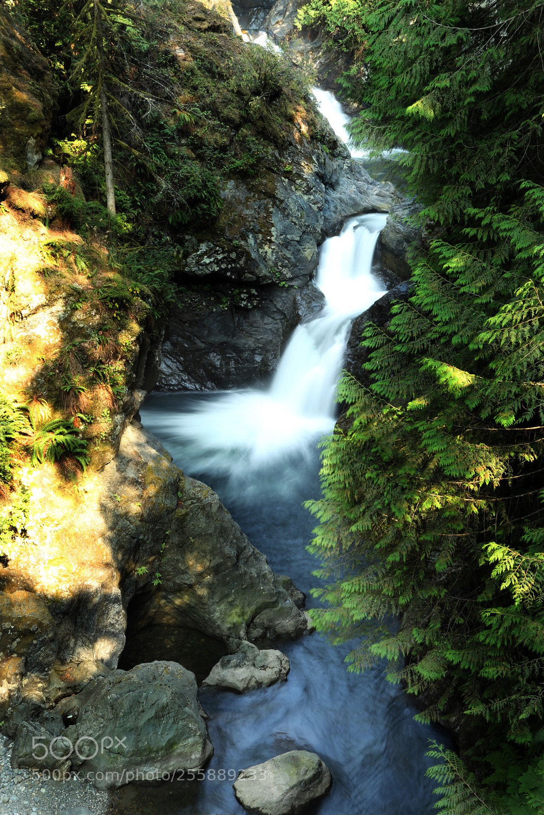 Canon EOS 6D sample photo. Summer light  photography
