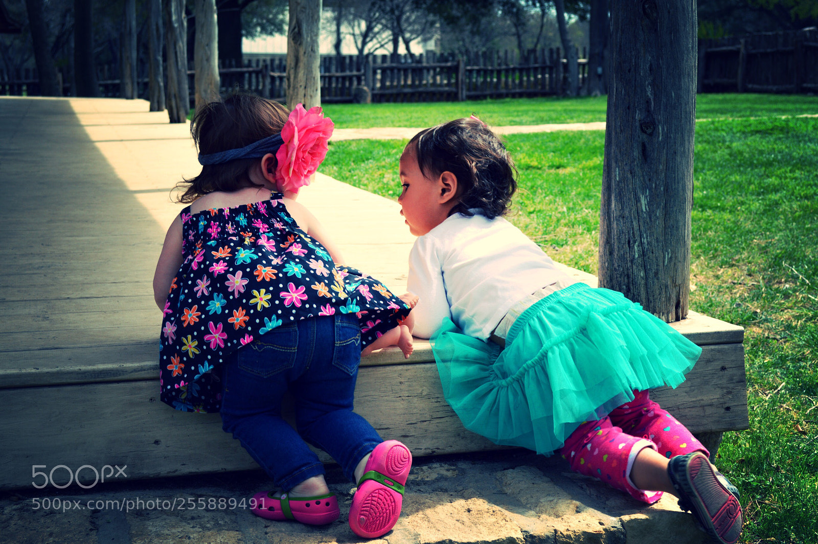 Nikon D3200 sample photo. Friends.  photography