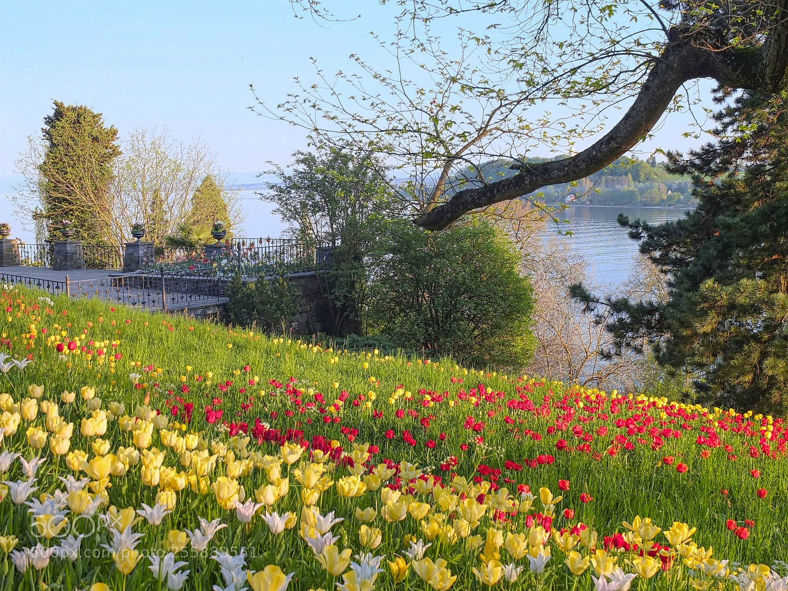 Fujifilm X-T2 sample photo. Mainau - la isla photography