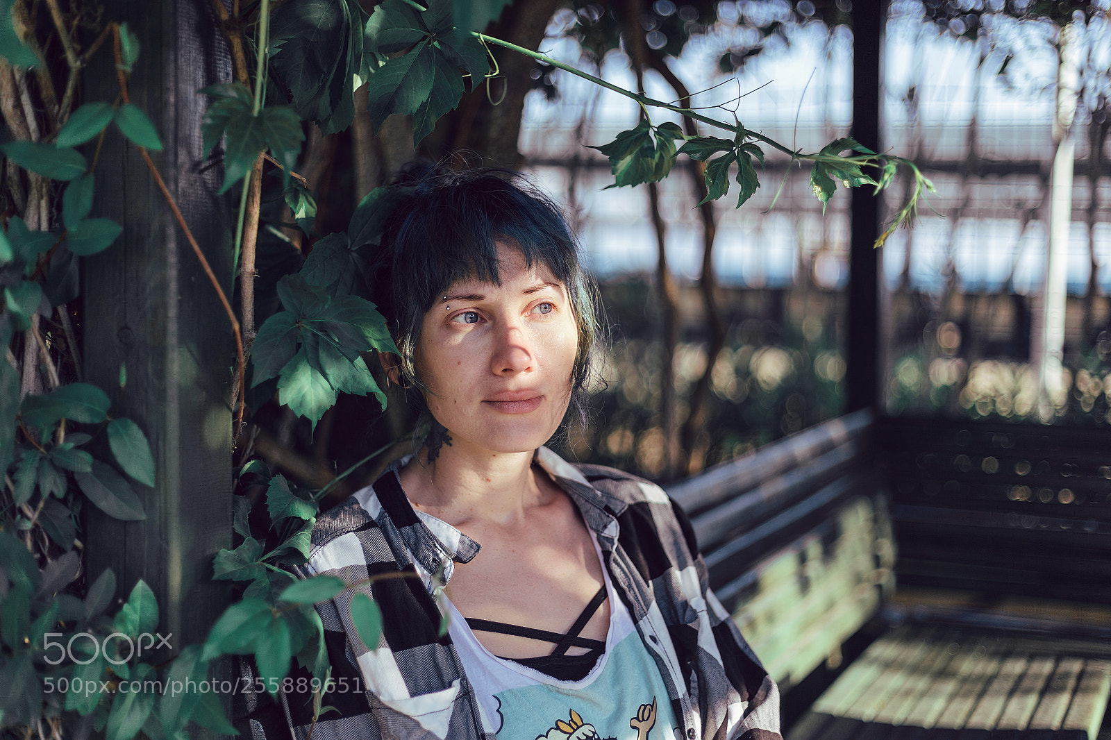 Canon EOS 6D sample photo. Shadow photography