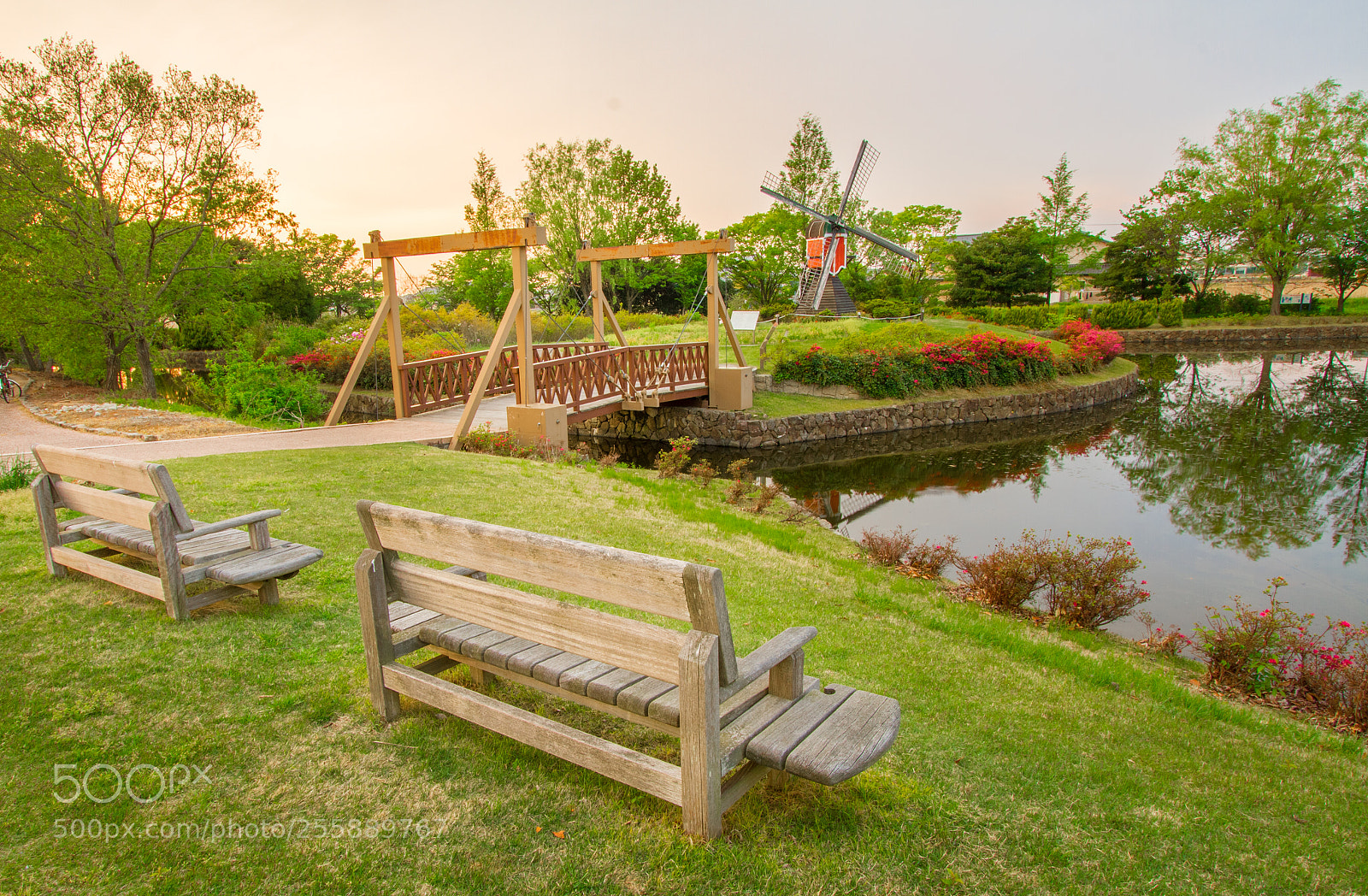 Canon EOS 7D sample photo. . photography