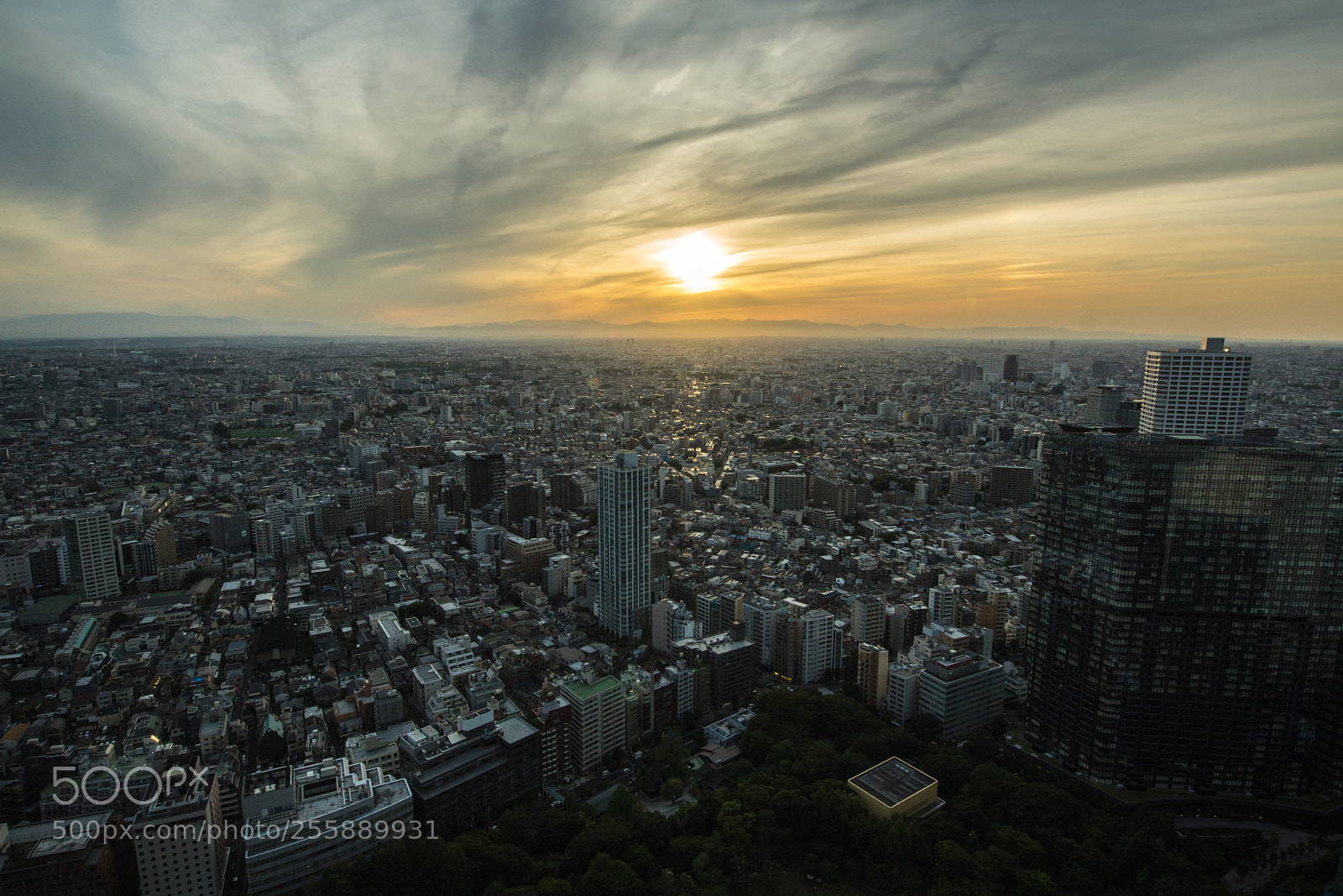 Sony SLT-A77 sample photo. Shinjuku photography