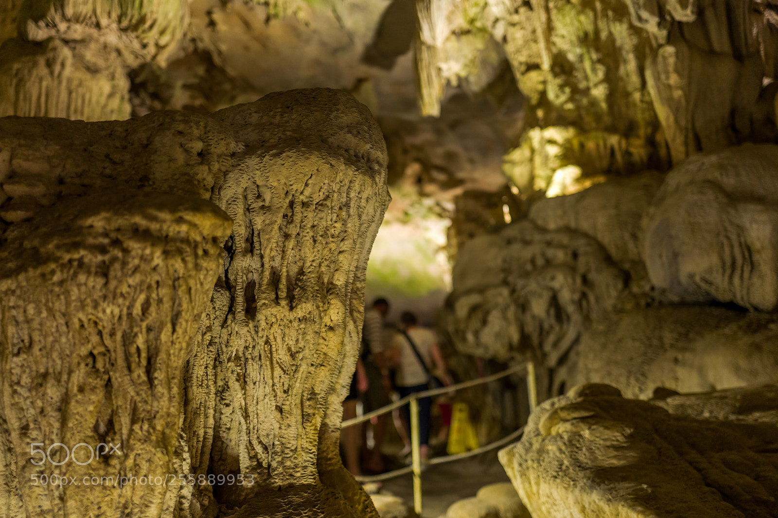 Leica Q (Typ 116) sample photo. The hang sung cave photography