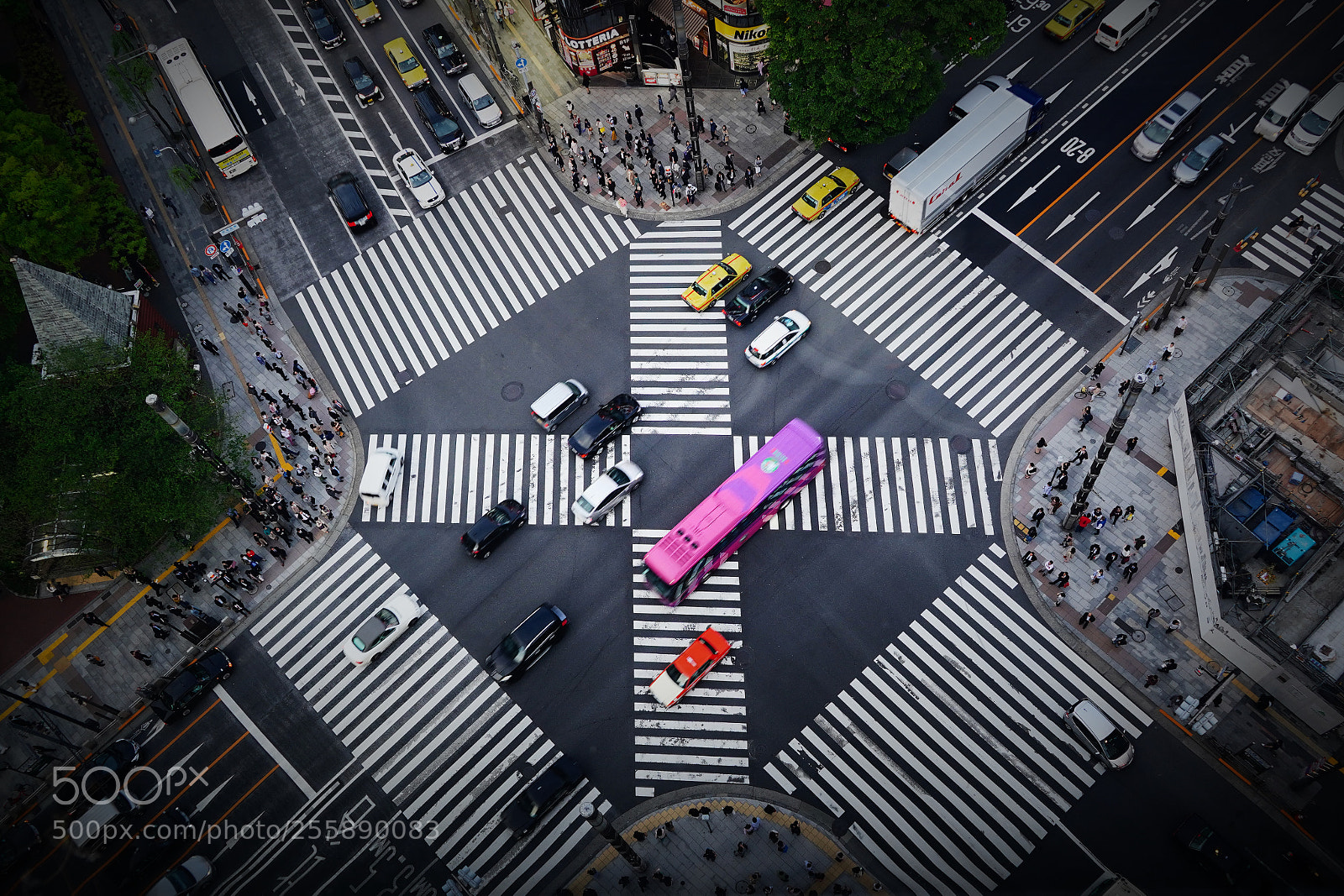 Sony a7 III sample photo. Crossing from a bird's-eye photography