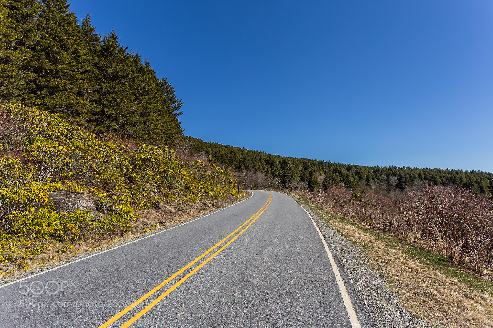 Canon EOS 6D sample photo. Asheville road photography
