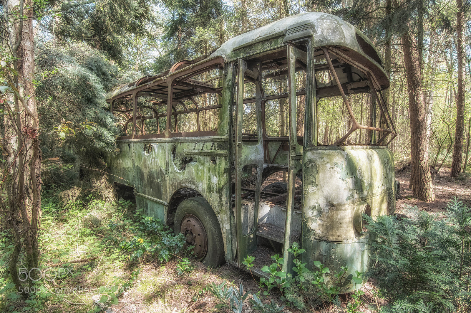 Nikon D500 sample photo. My bus photography