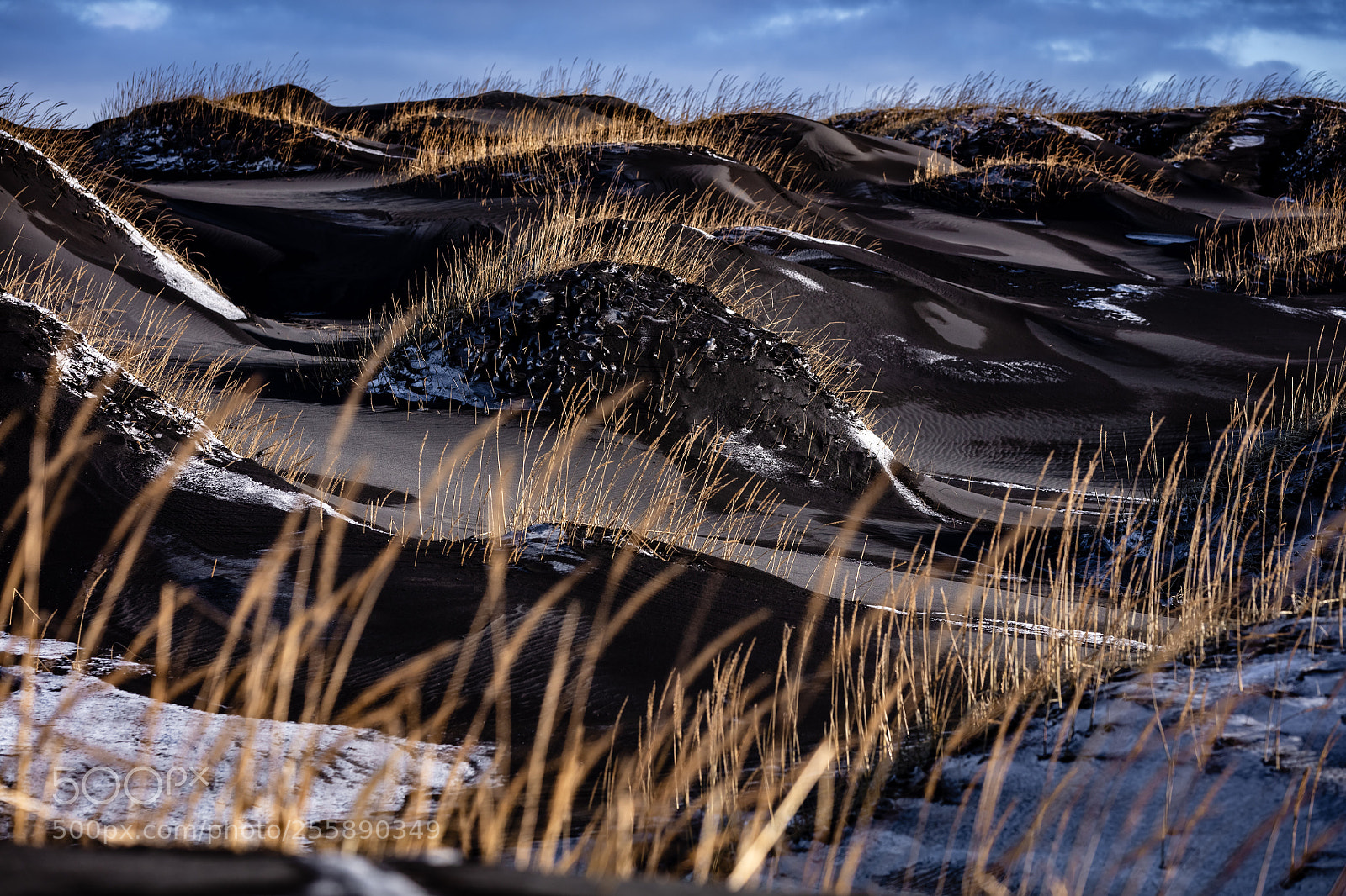 Canon EOS 5DS R sample photo. Icy black sand dunes photography