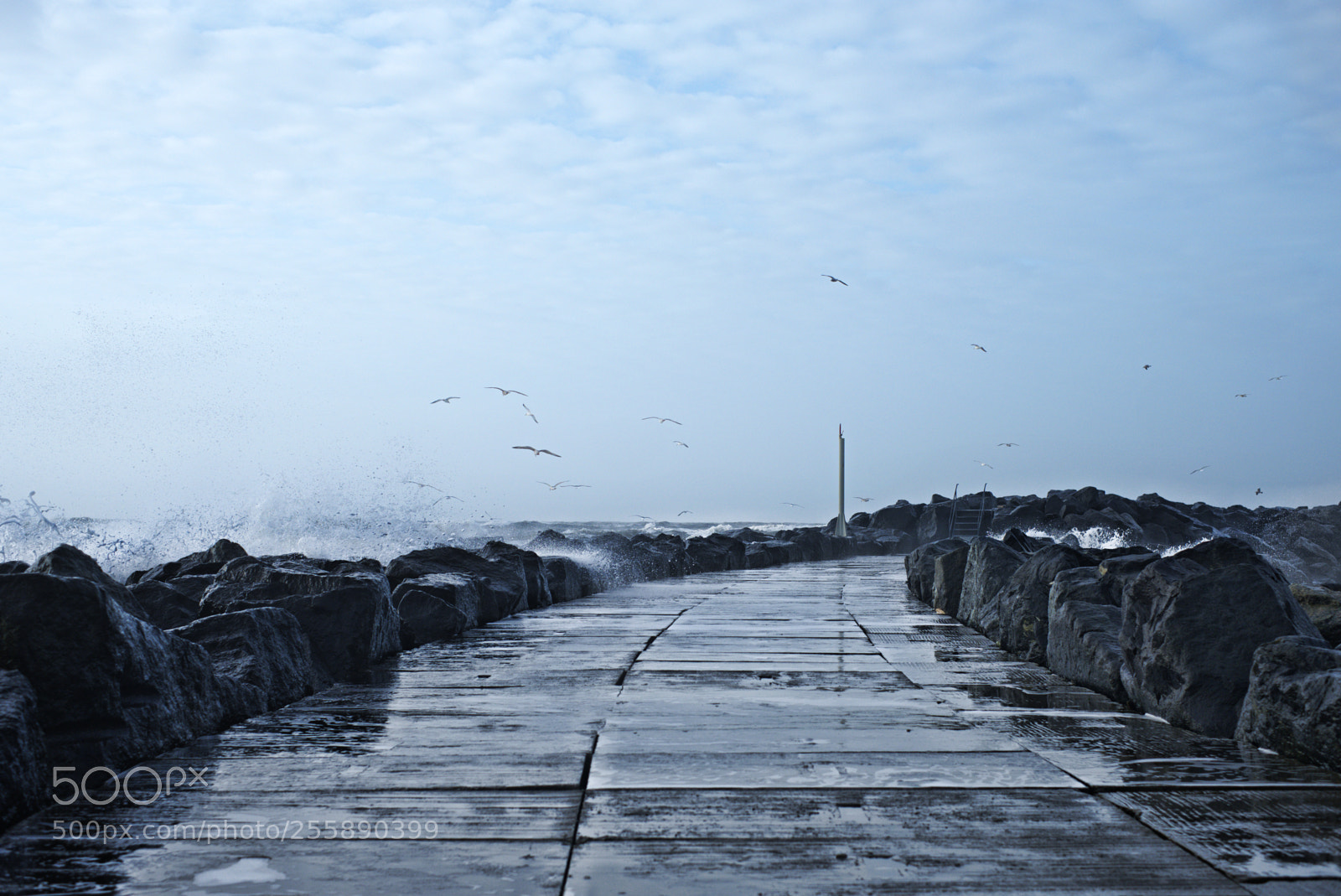 Fujifilm X-T2 sample photo. Into the blue photography