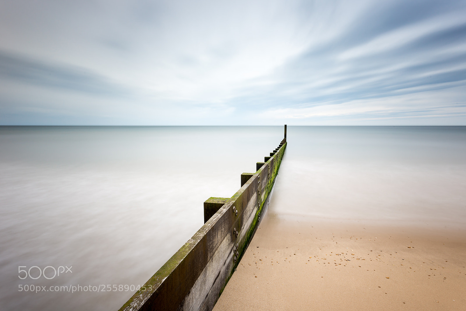 Canon EOS 6D sample photo. Calm groin looking out photography