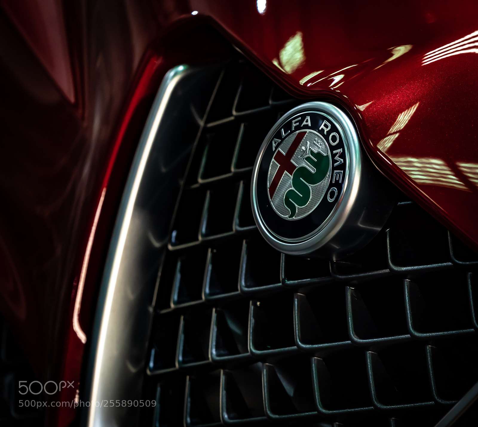 Canon EOS 5D Mark IV sample photo. Italian beauty photography