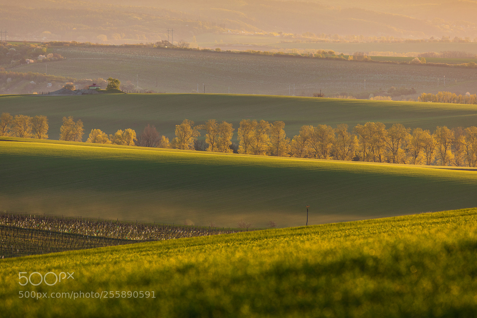 Canon EOS 5D Mark IV sample photo. Moravian tuscany photography