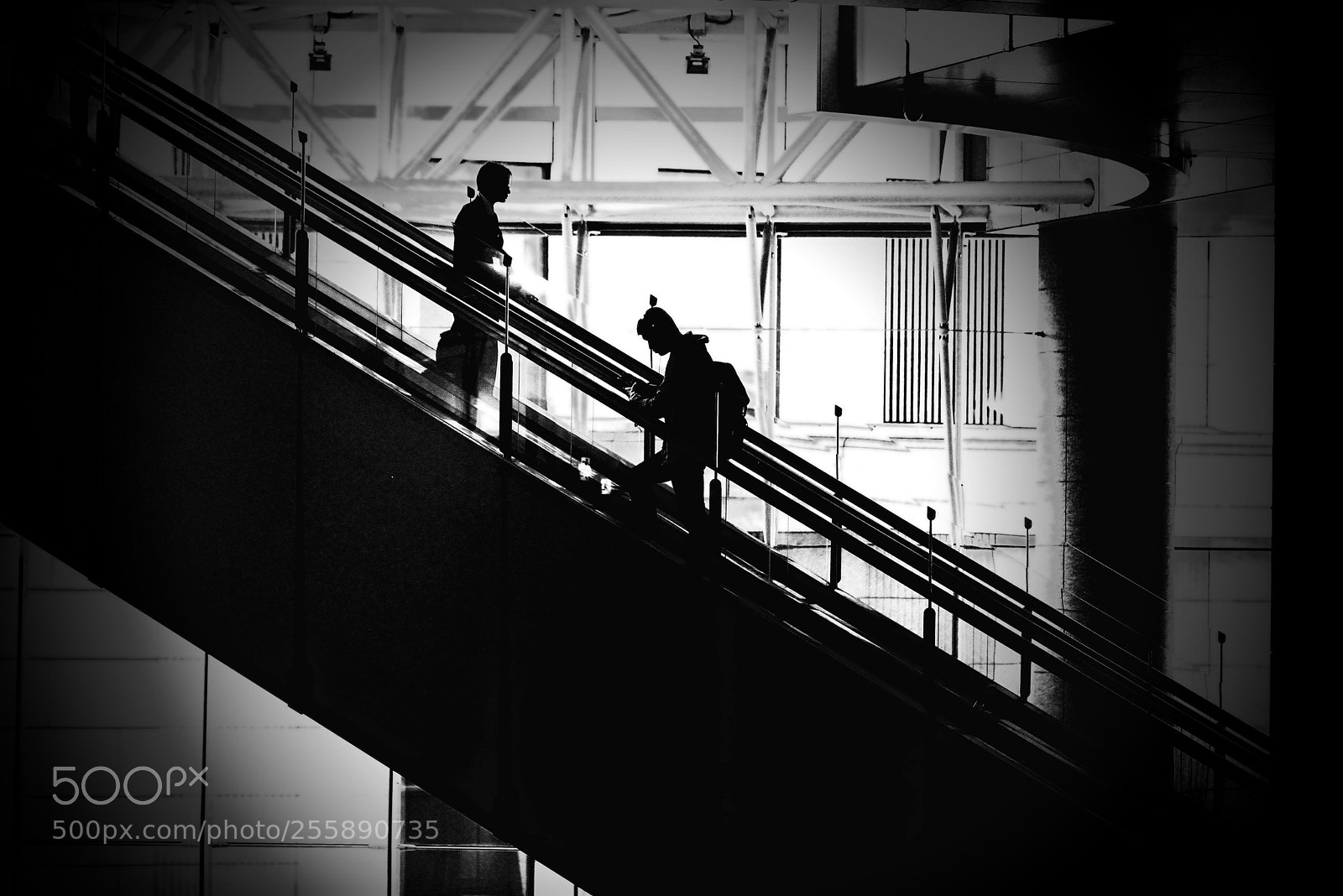 Nikon D600 sample photo. Up & down photography