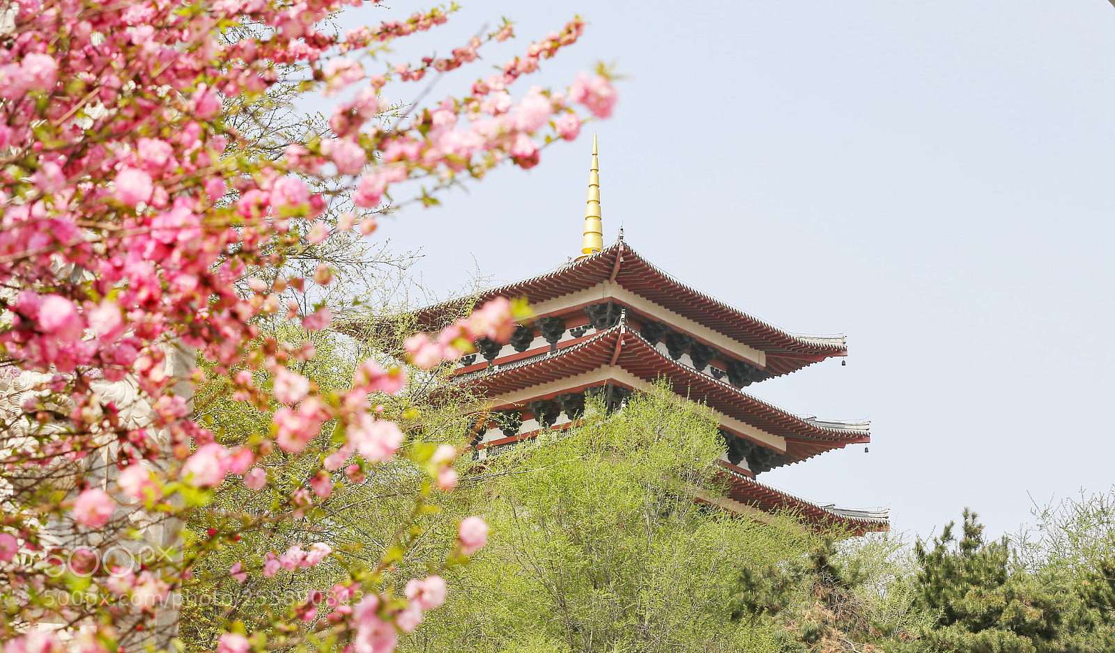 Canon EOS 6D sample photo. Untitled photography