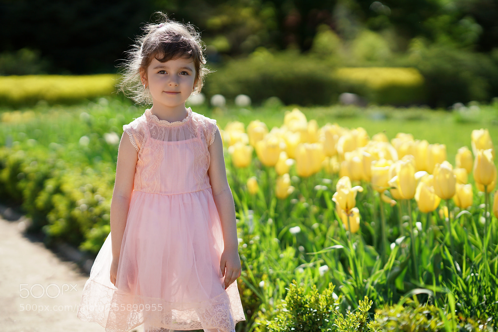 Sony a7R II sample photo. Untitled photography