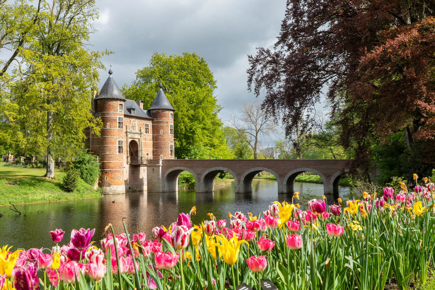 Canon EOS 5D Mark IV sample photo. Chateau de grand bigard photography