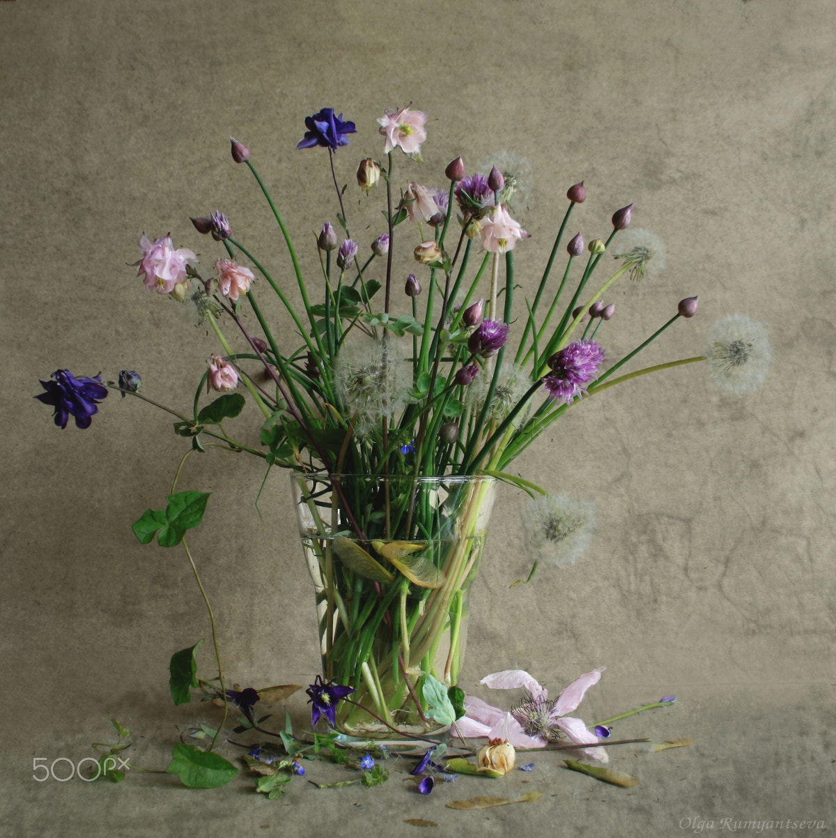 Canon EOS 50D sample photo. Flower. photography