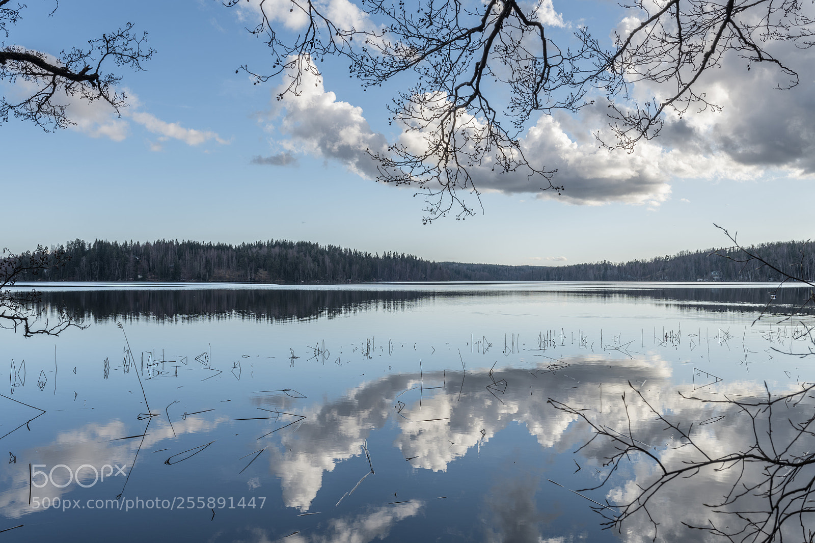 Nikon D850 sample photo. Lake in the afternoon photography