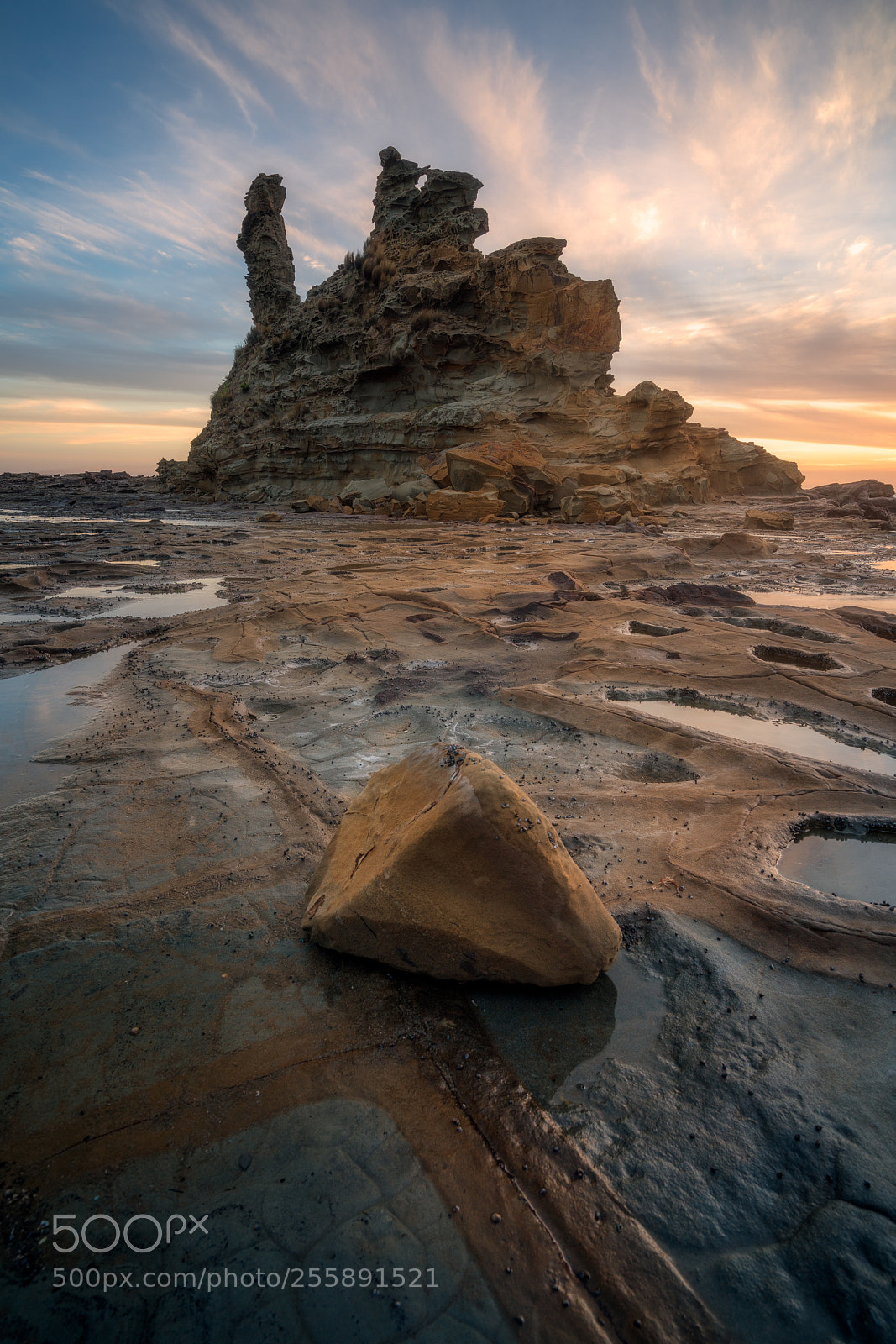 Sony a7R II sample photo. Eagles nest photography