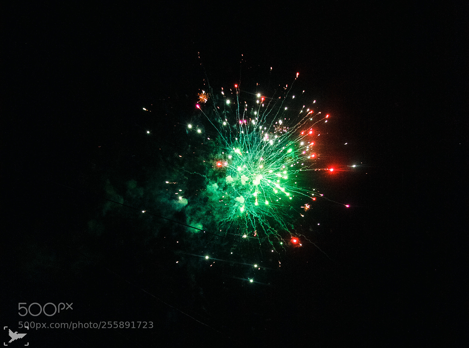 Canon EOS 5D Mark II sample photo. Detail photography