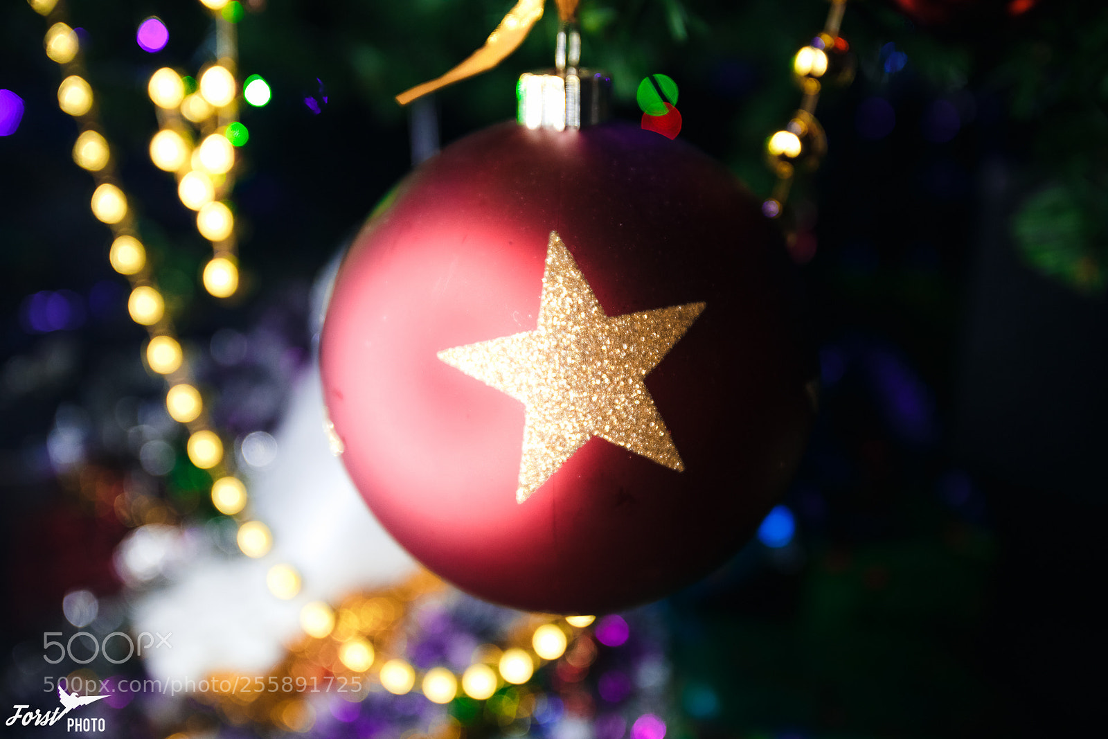 Canon EOS 6D sample photo. Detail photography