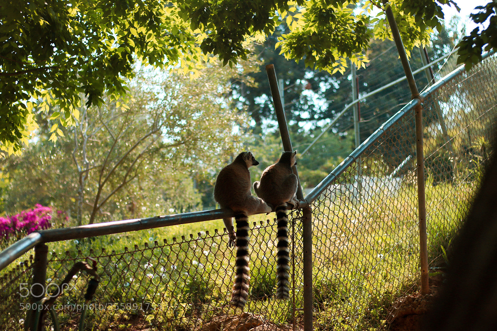 Canon EOS 70D sample photo. Untitled photography