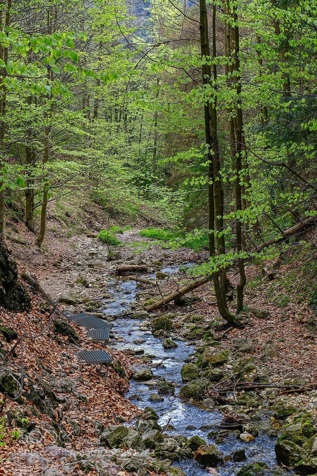 Fujifilm X-T20 sample photo. Valley photography