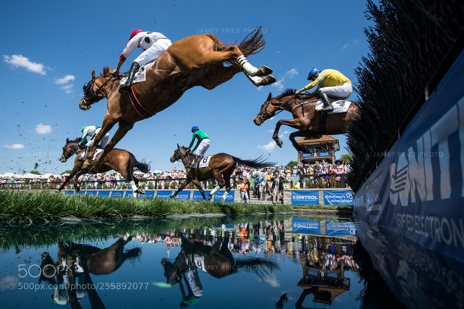 Nikon D5 sample photo. Queen's cup steeplechase photography
