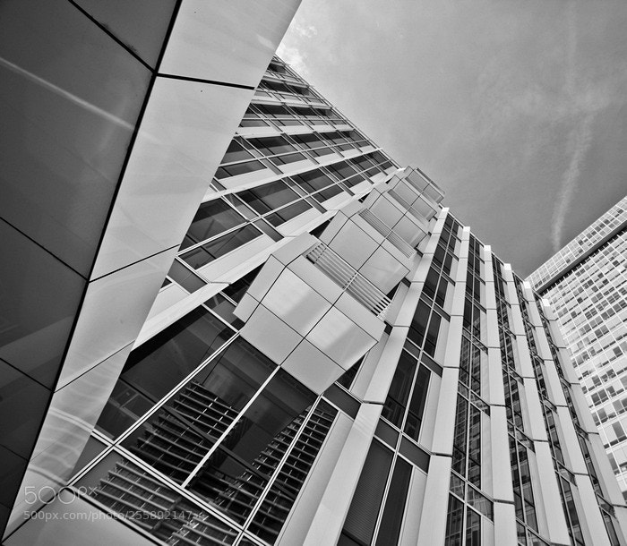 Canon EOS 5D Mark II sample photo. Lines photography