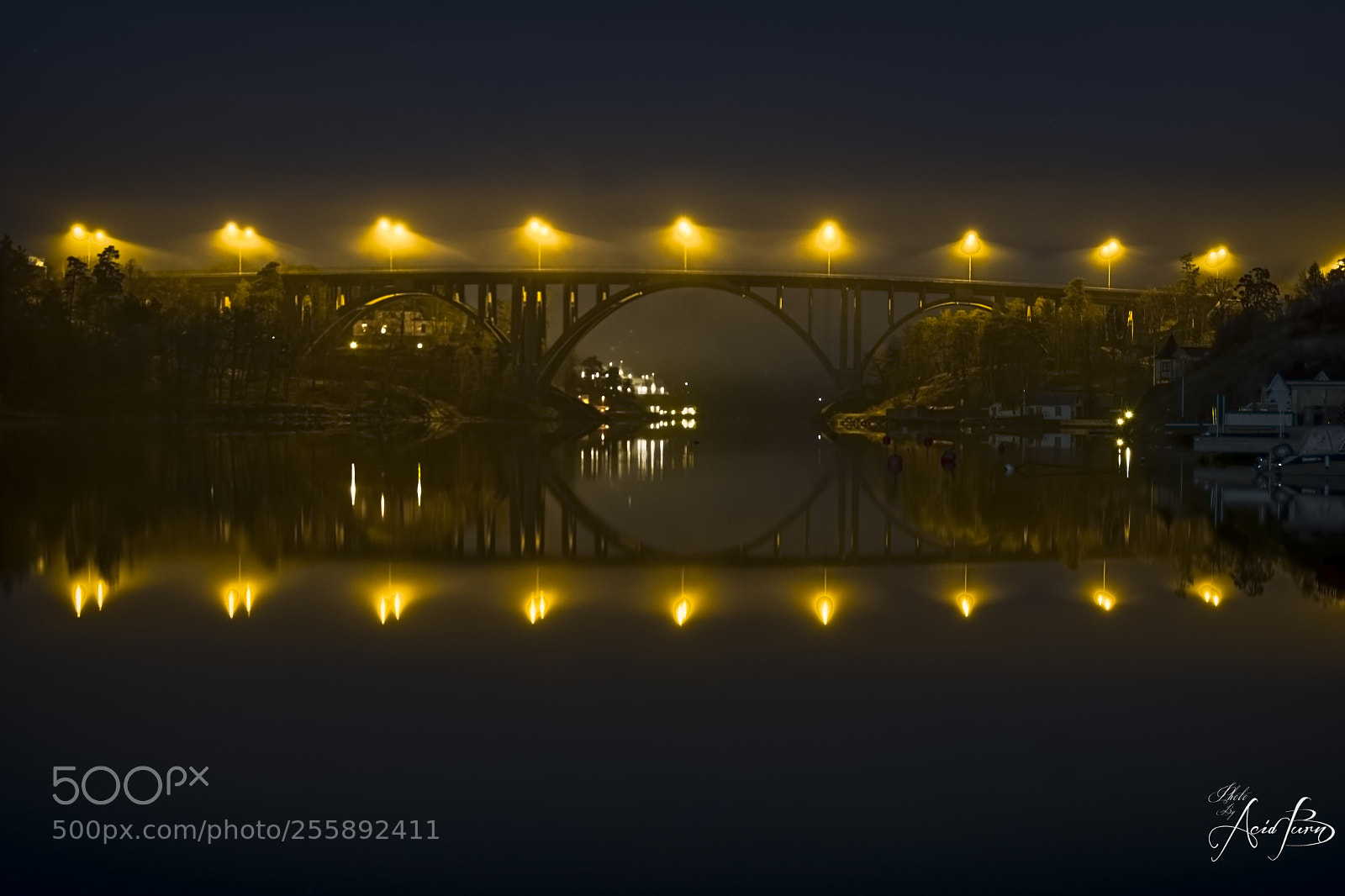 Nikon D7100 sample photo. A foggy night photography