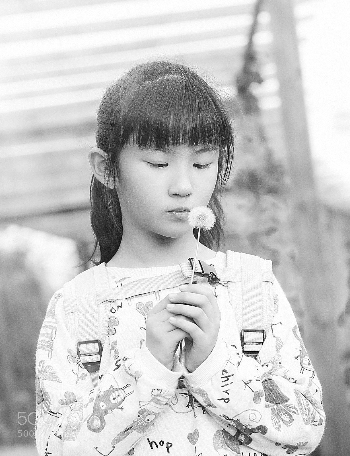 Canon EOS 5D Mark IV sample photo. Untitled photography
