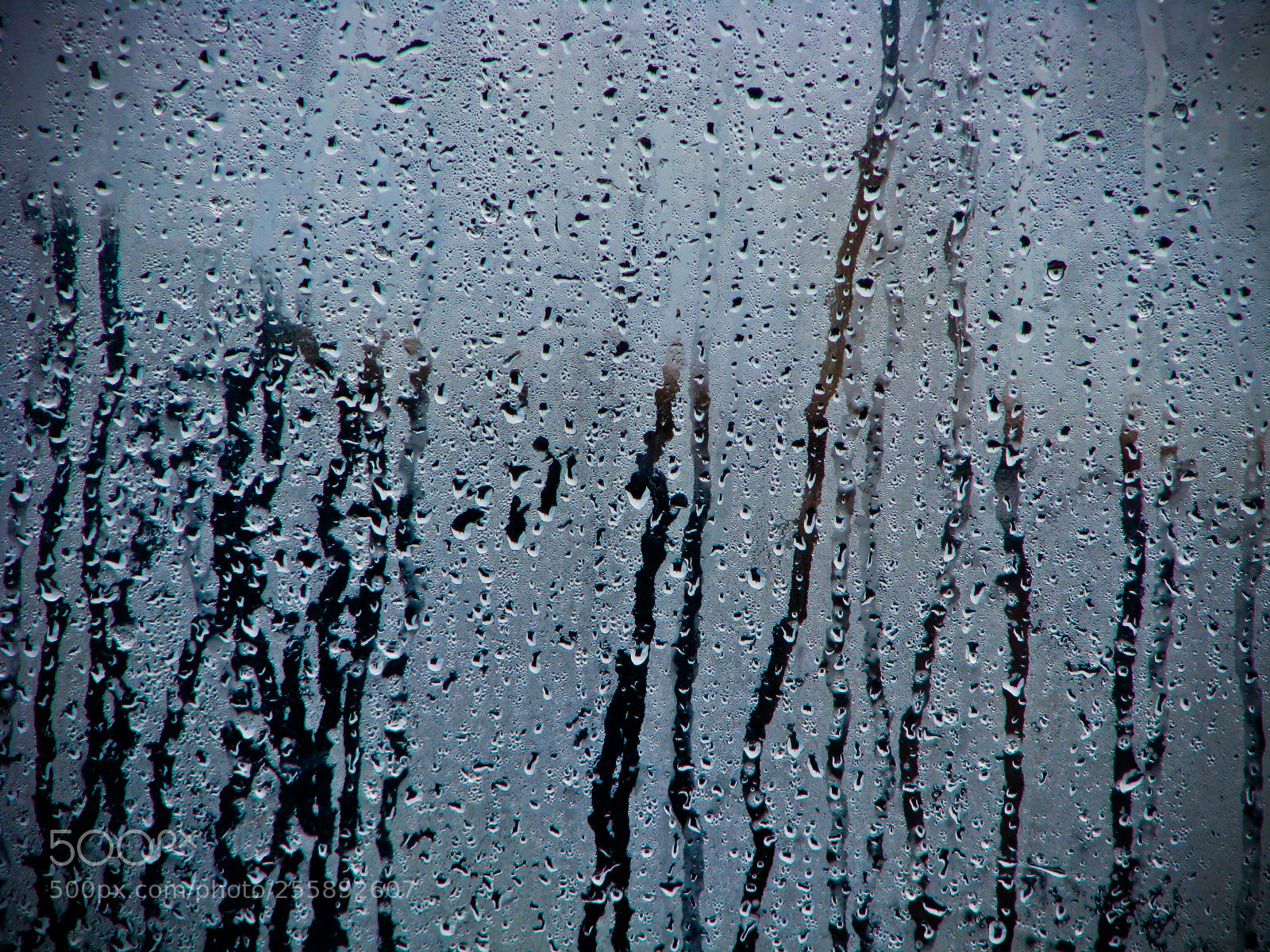 Canon POWERSHOT S5 IS sample photo. The four elements. photography