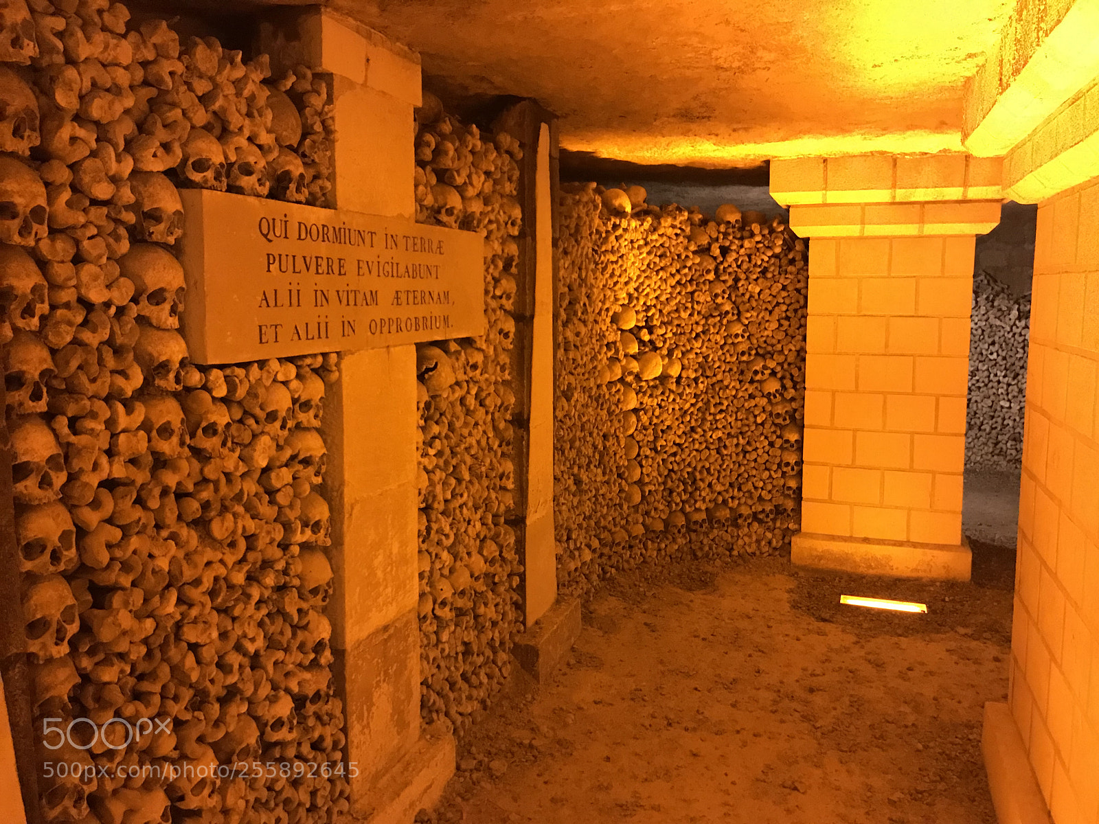 Apple iPhone 7 Plus sample photo. Catacombes paris 2018 photography