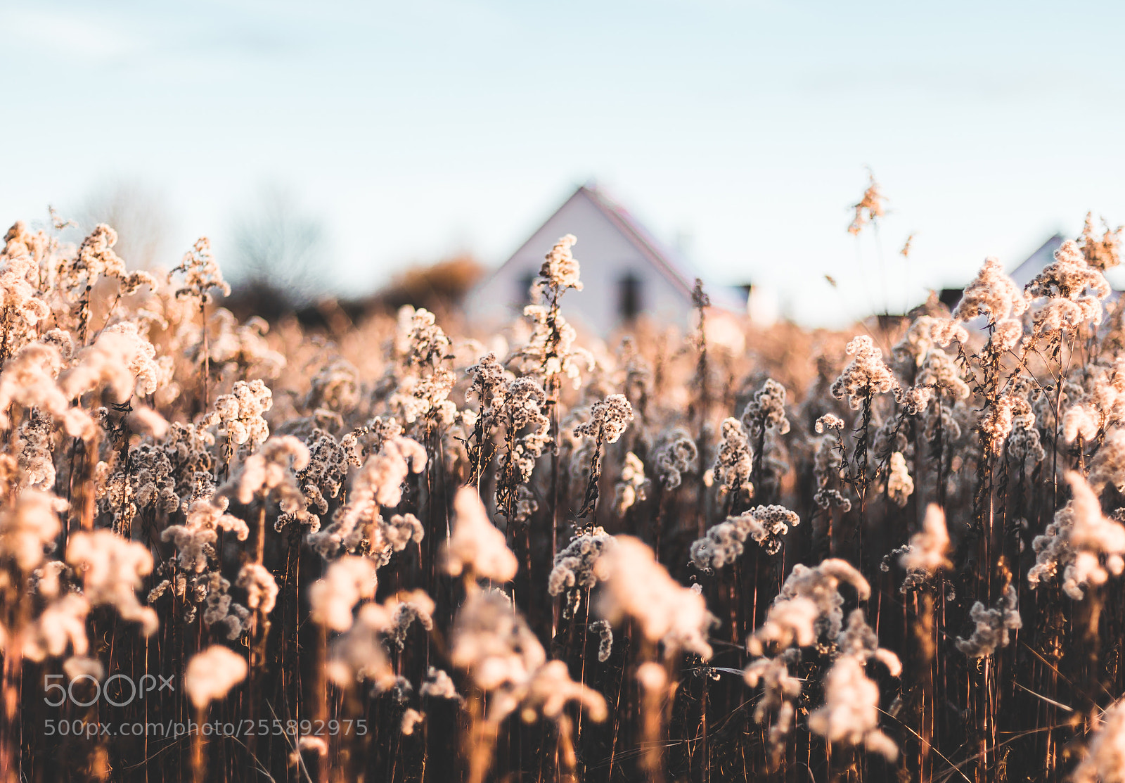 Canon EOS 6D sample photo. Close to home photography