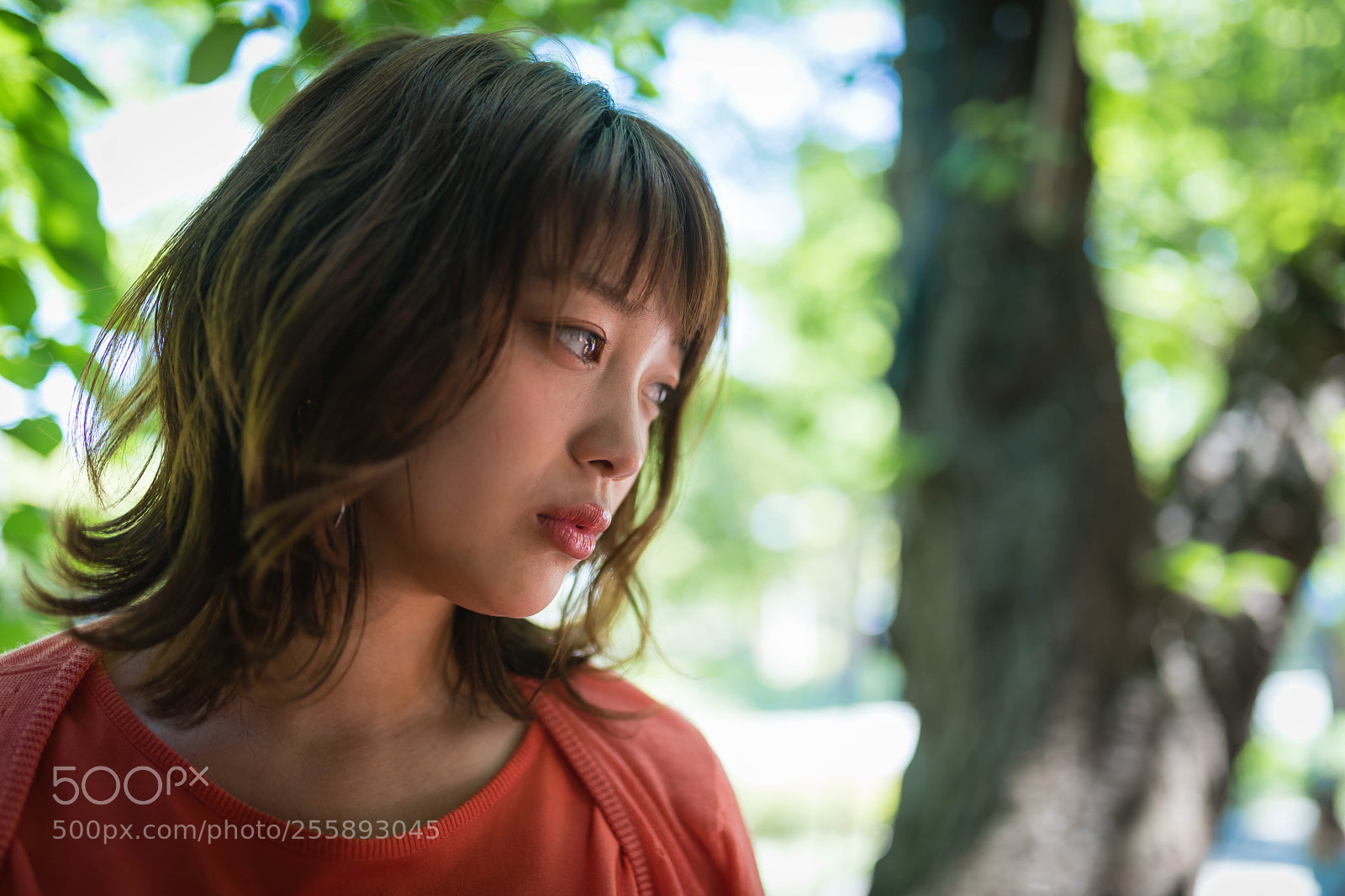 Canon EOS 5D Mark IV sample photo. Rino  photography