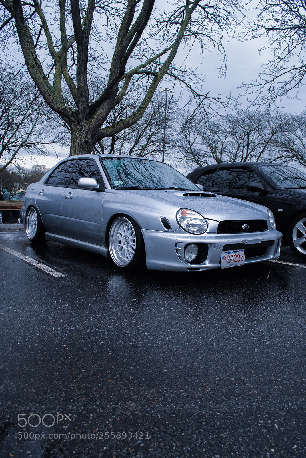 Nikon D3000 sample photo. Neck breaker.  photography
