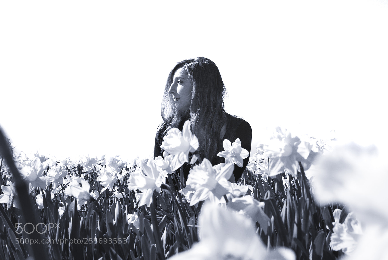 Canon EOS 70D sample photo. Growing photography