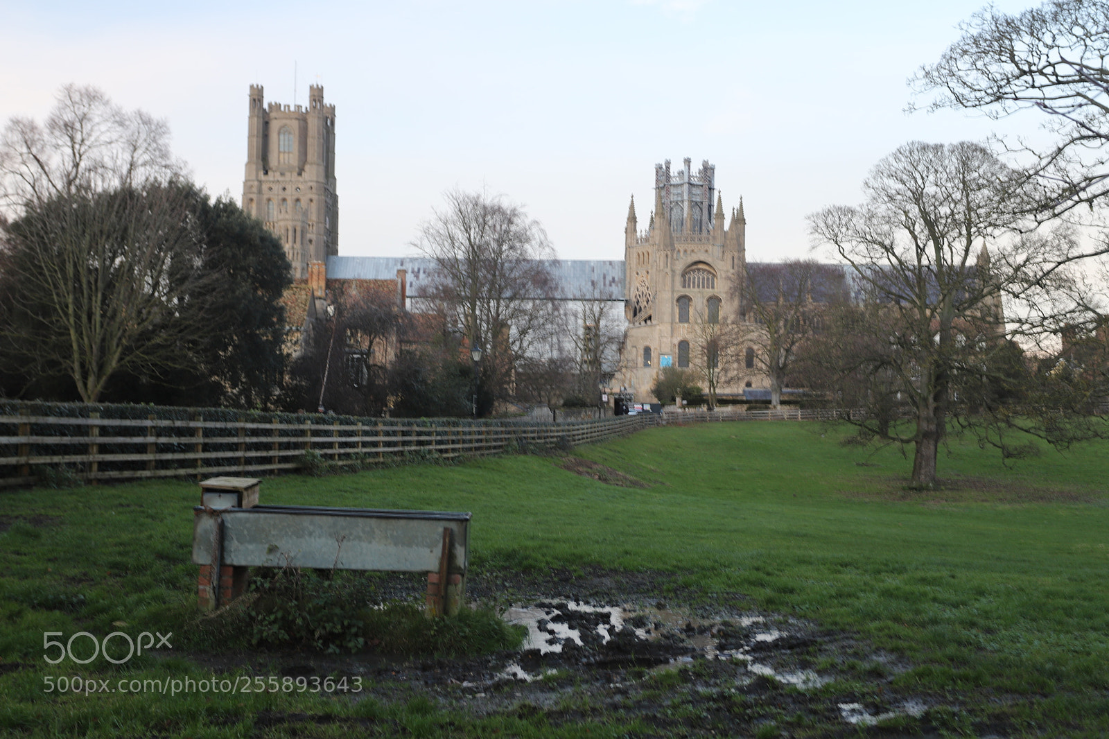 Canon EOS 6D Mark II sample photo. In and around ely photography