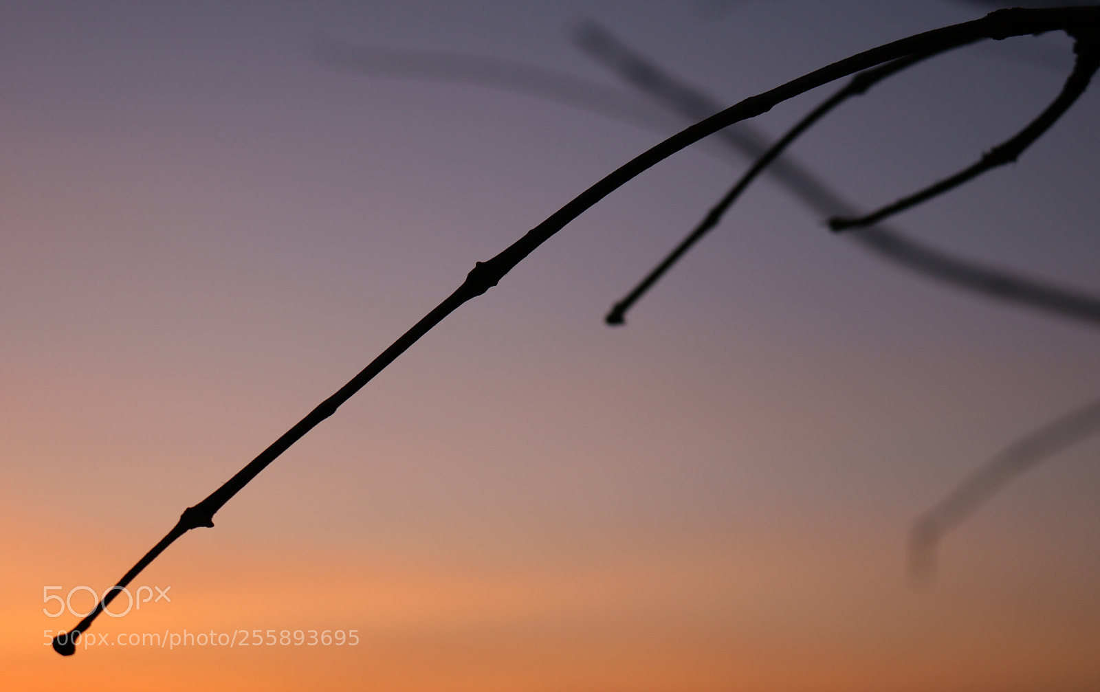 Canon EOS 750D (EOS Rebel T6i / EOS Kiss X8i) sample photo. Amazing peaceful sunset photography