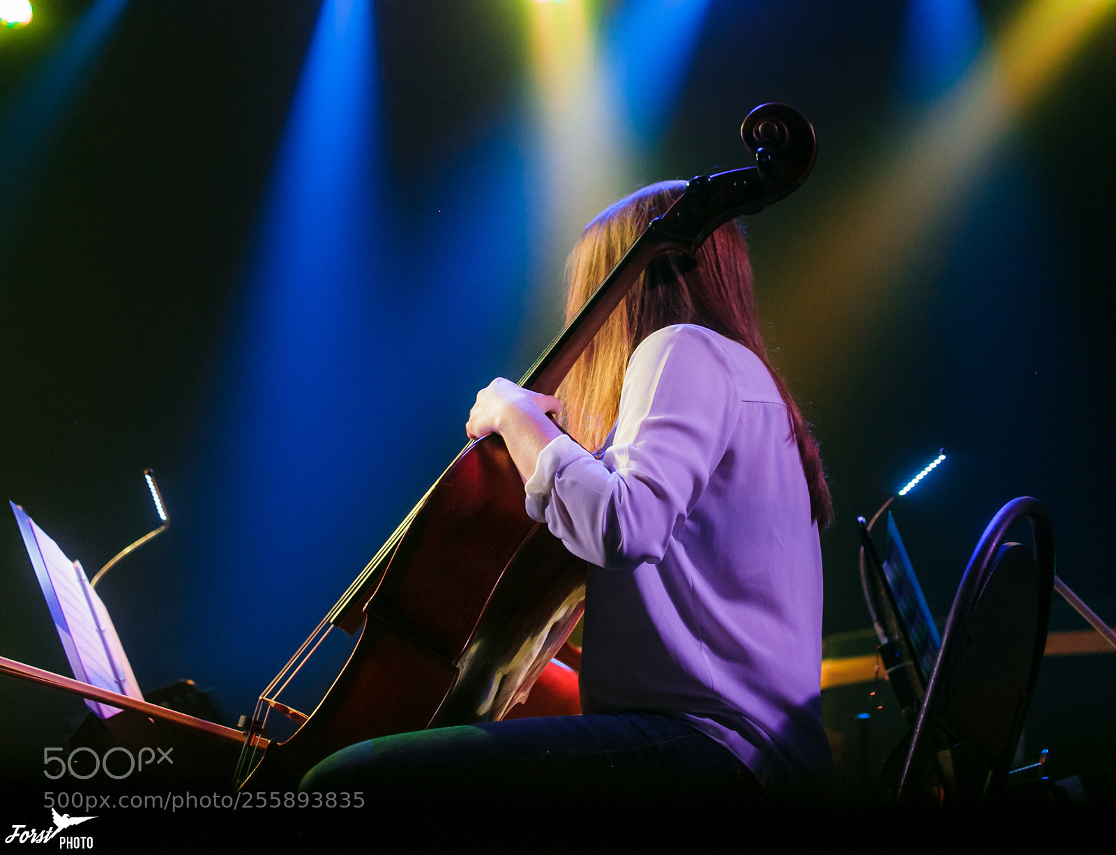 Canon EOS 6D sample photo. Private reporting photography
