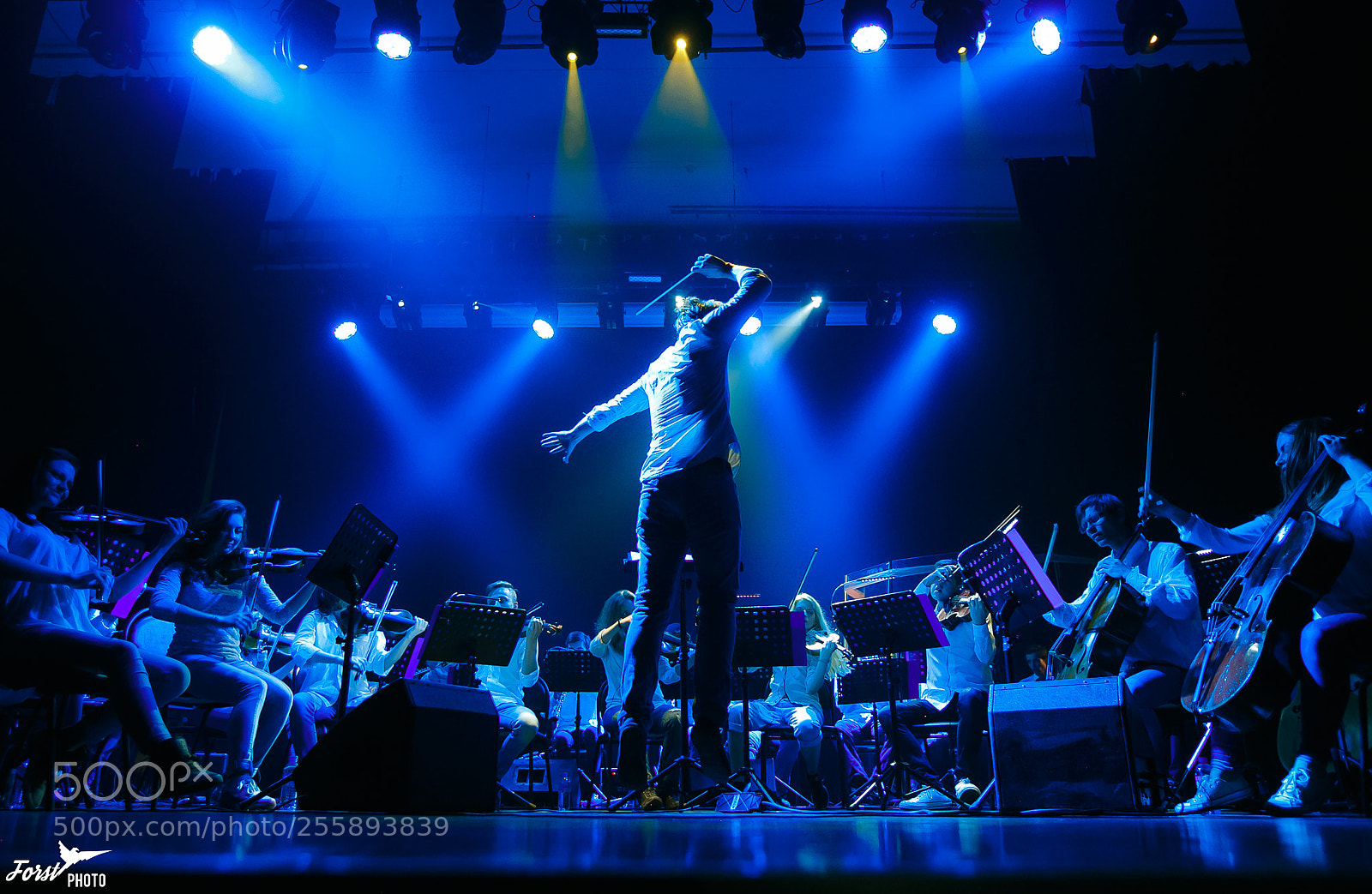 Canon EOS 6D sample photo. Private reporting photography