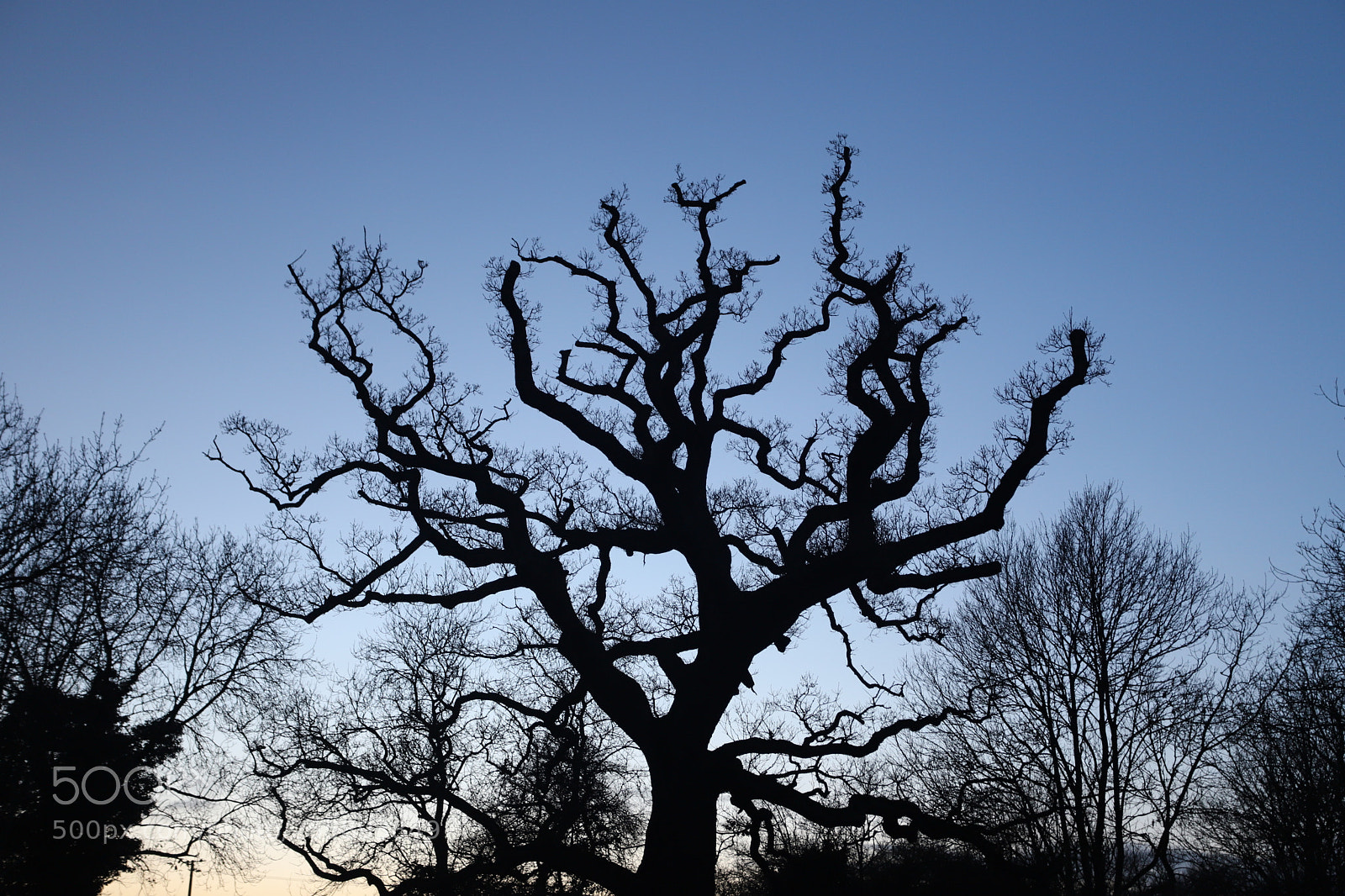 Canon EOS 6D Mark II sample photo. In and around ely photography