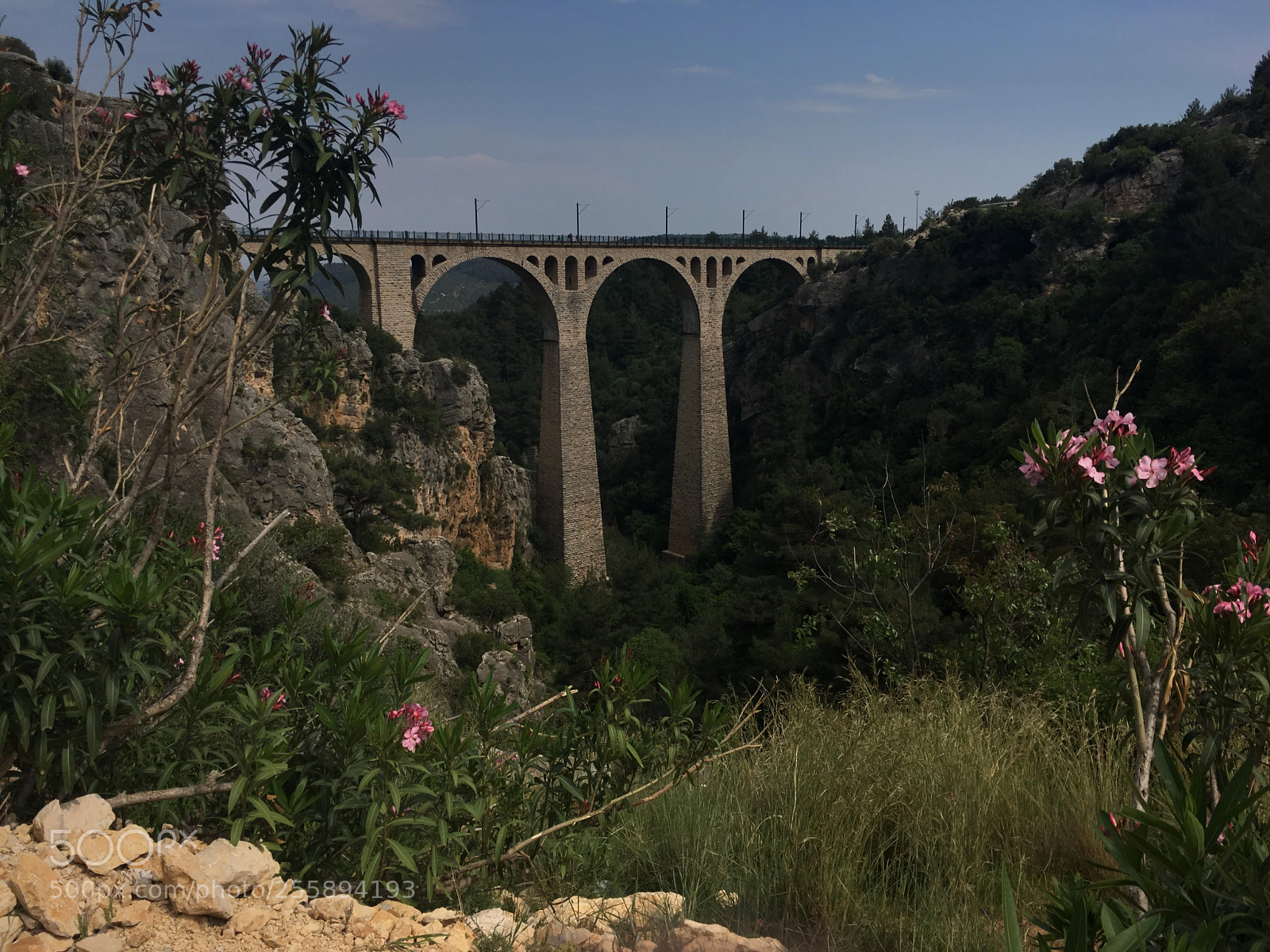 Apple iPhone SE sample photo. Stone bridge photography