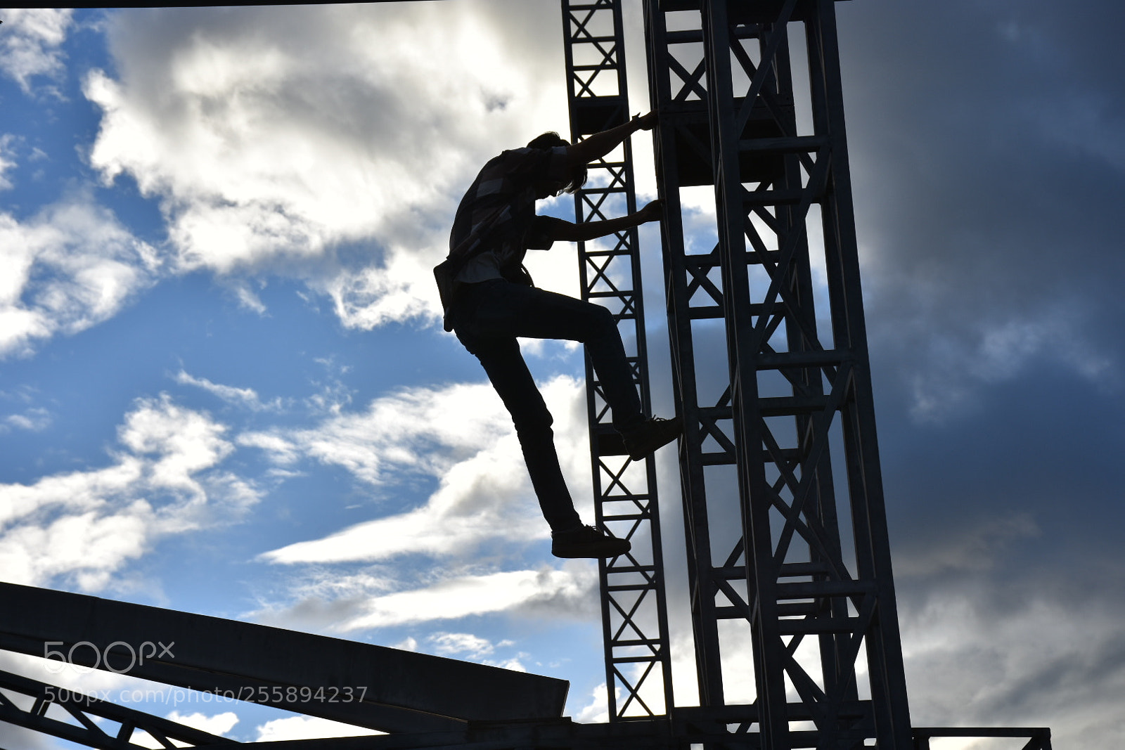 Nikon D7200 sample photo. Try to fly photography