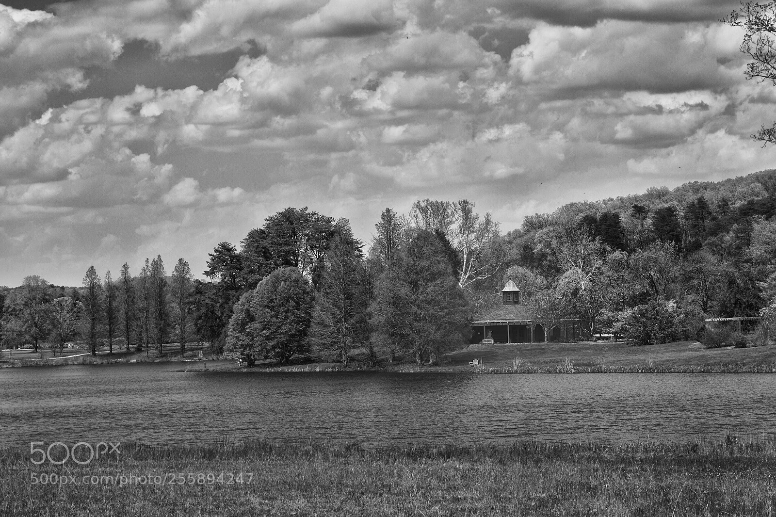Canon EOS 50D sample photo. Bernheim arboretum and research photography
