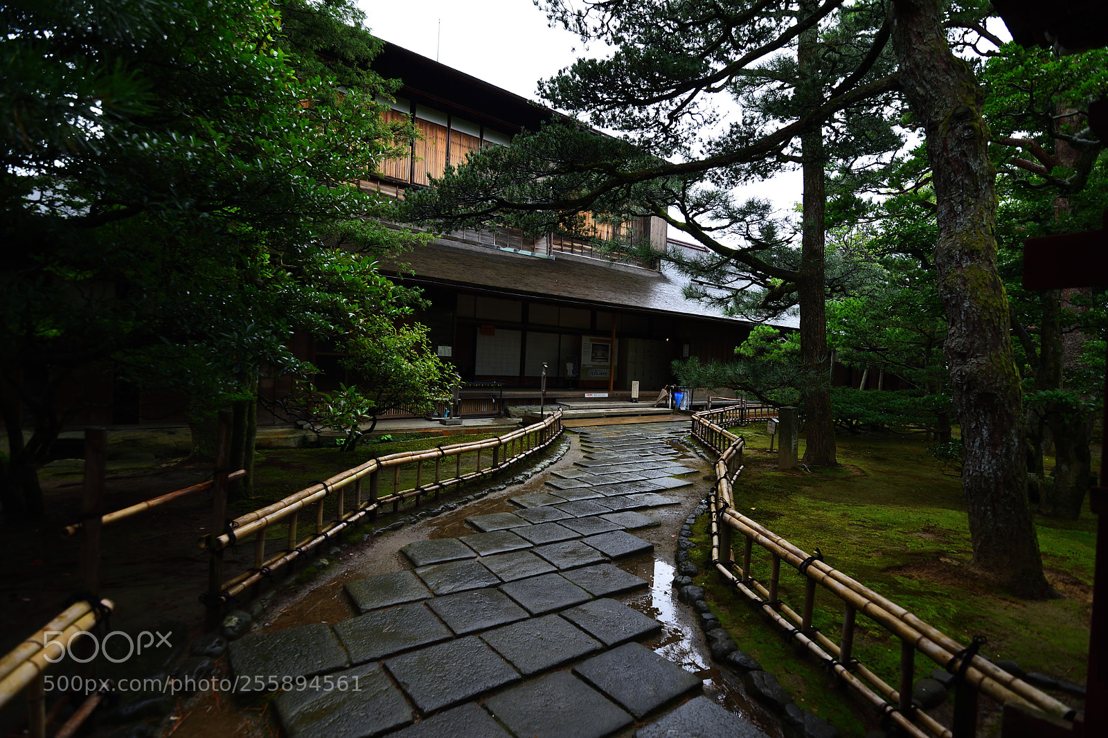 Nikon D7200 sample photo. Japanese garden after the photography