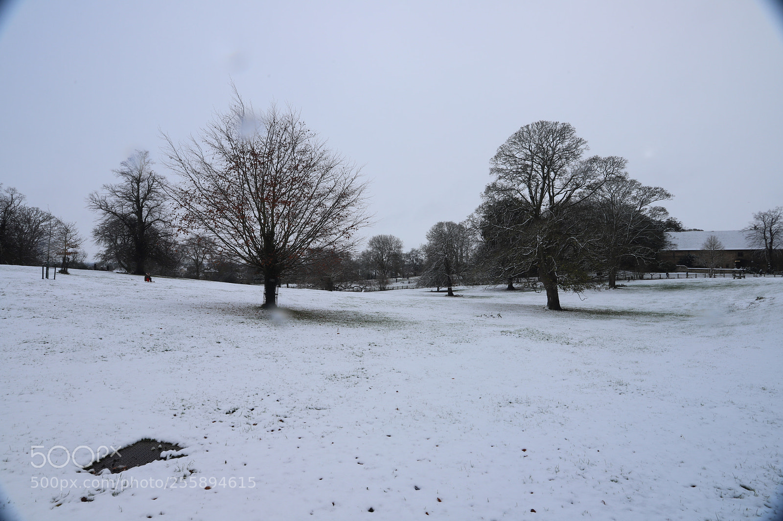 Canon EOS 6D Mark II sample photo. In and around ely photography
